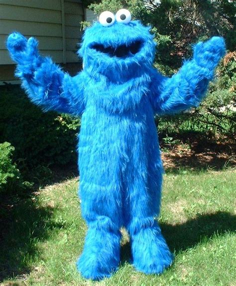 Cookie monster mascot costume